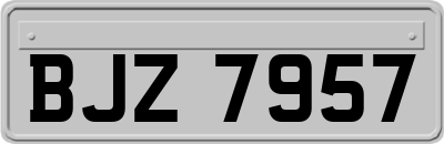 BJZ7957