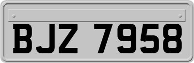 BJZ7958