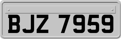 BJZ7959