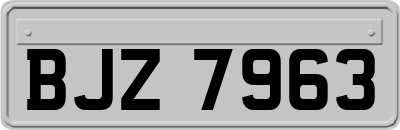 BJZ7963