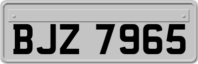 BJZ7965