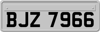BJZ7966