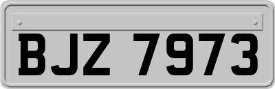 BJZ7973