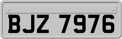 BJZ7976