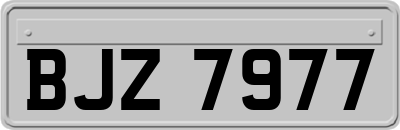 BJZ7977