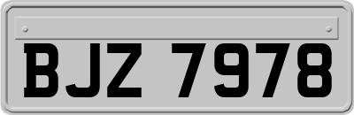 BJZ7978