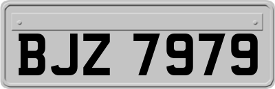 BJZ7979