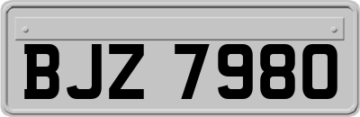 BJZ7980