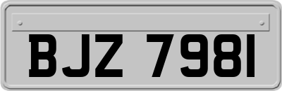 BJZ7981