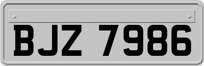 BJZ7986