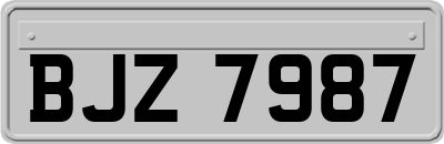 BJZ7987