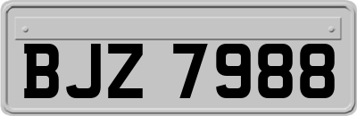 BJZ7988