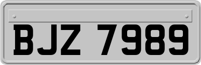 BJZ7989
