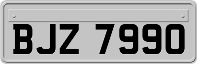 BJZ7990