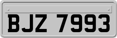 BJZ7993