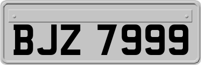 BJZ7999