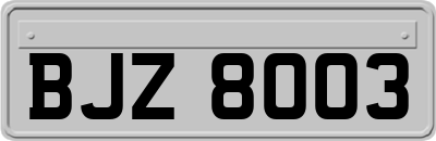 BJZ8003