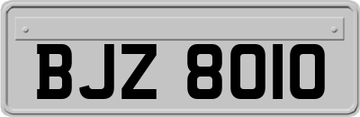 BJZ8010