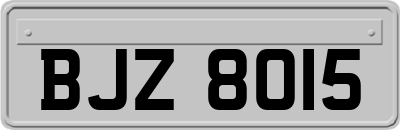 BJZ8015