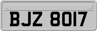 BJZ8017