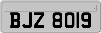 BJZ8019