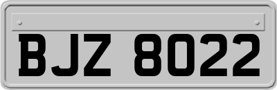 BJZ8022