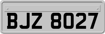 BJZ8027