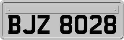 BJZ8028