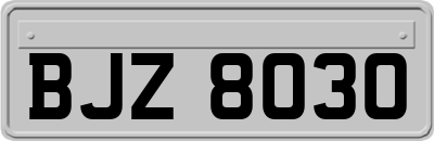 BJZ8030