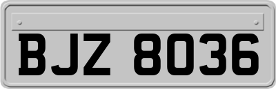 BJZ8036