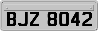 BJZ8042