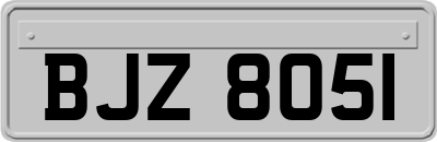 BJZ8051