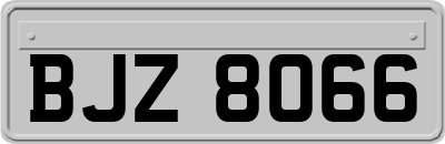BJZ8066