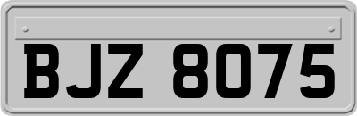BJZ8075
