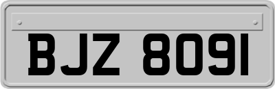 BJZ8091