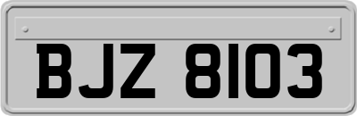 BJZ8103