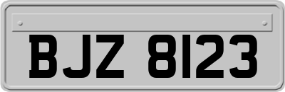 BJZ8123