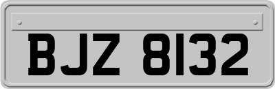 BJZ8132