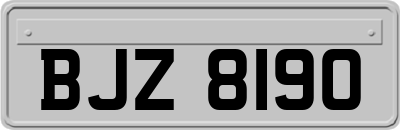 BJZ8190