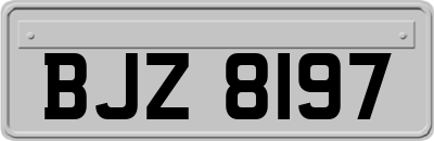 BJZ8197