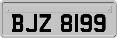 BJZ8199