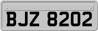 BJZ8202