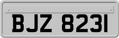 BJZ8231