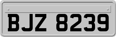 BJZ8239