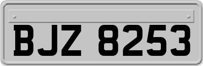 BJZ8253
