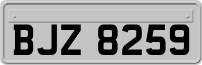 BJZ8259