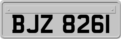 BJZ8261