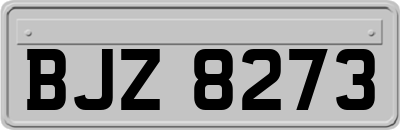 BJZ8273