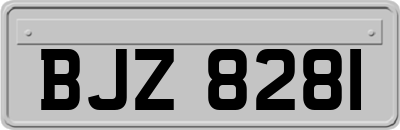 BJZ8281