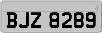 BJZ8289